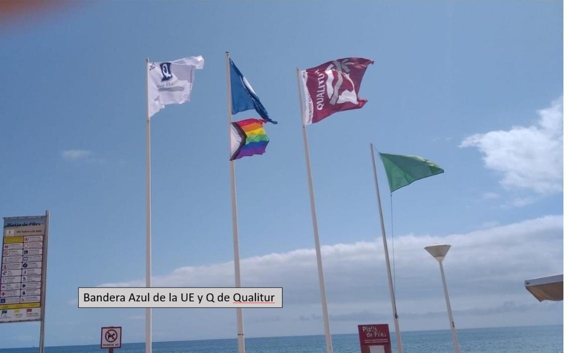 Apartamento En Piles Playa المظهر الخارجي الصورة
